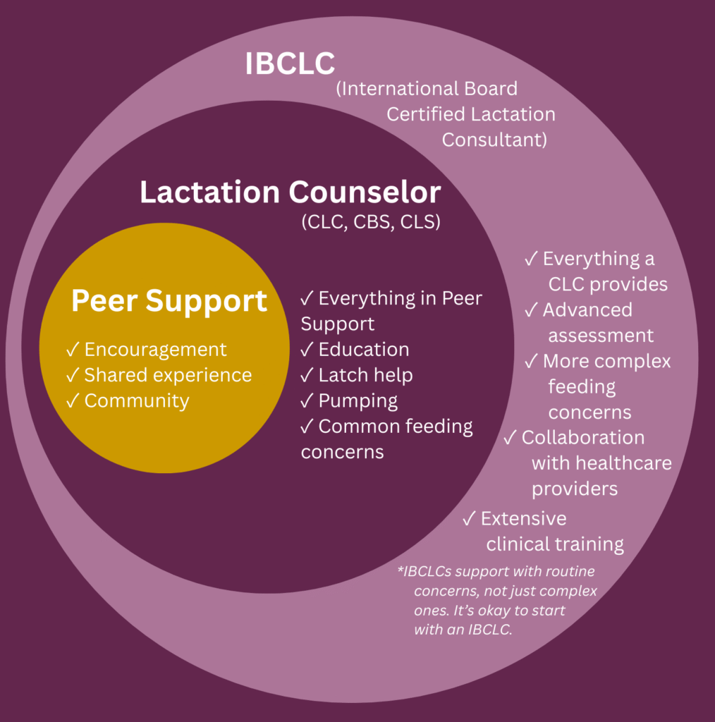 Illustration of three overlapping circles comparing types of lactation support. The first circle represents peer support, the second represents Clinical Lactation Counselors (CLCs), and the third represents International Board Certified Lactation Consultants (IBCLCs). The overlap shows that each level builds on the support offered by the previous one, with IBCLCs providing the broadest scope of lactation care.